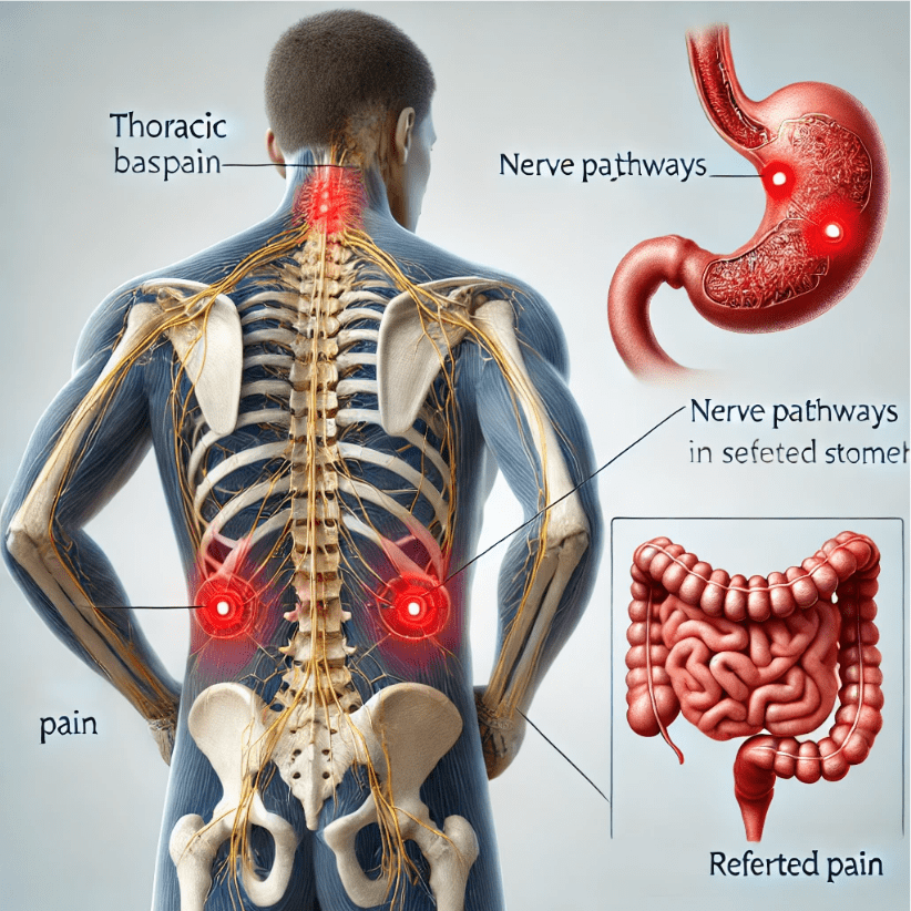 Corrección postural para reducir la relación entre el dolor dorsal y los trastornos gástricos