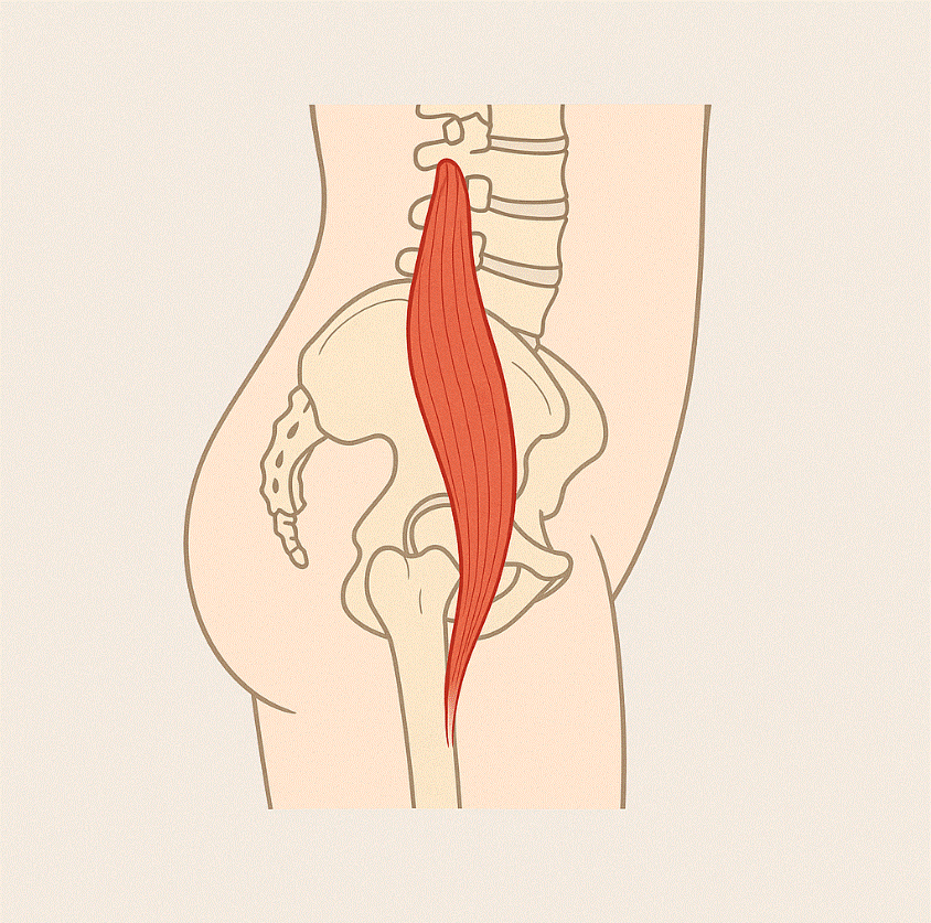 Evaluación clínica del músculo psoas y dolor lumbar