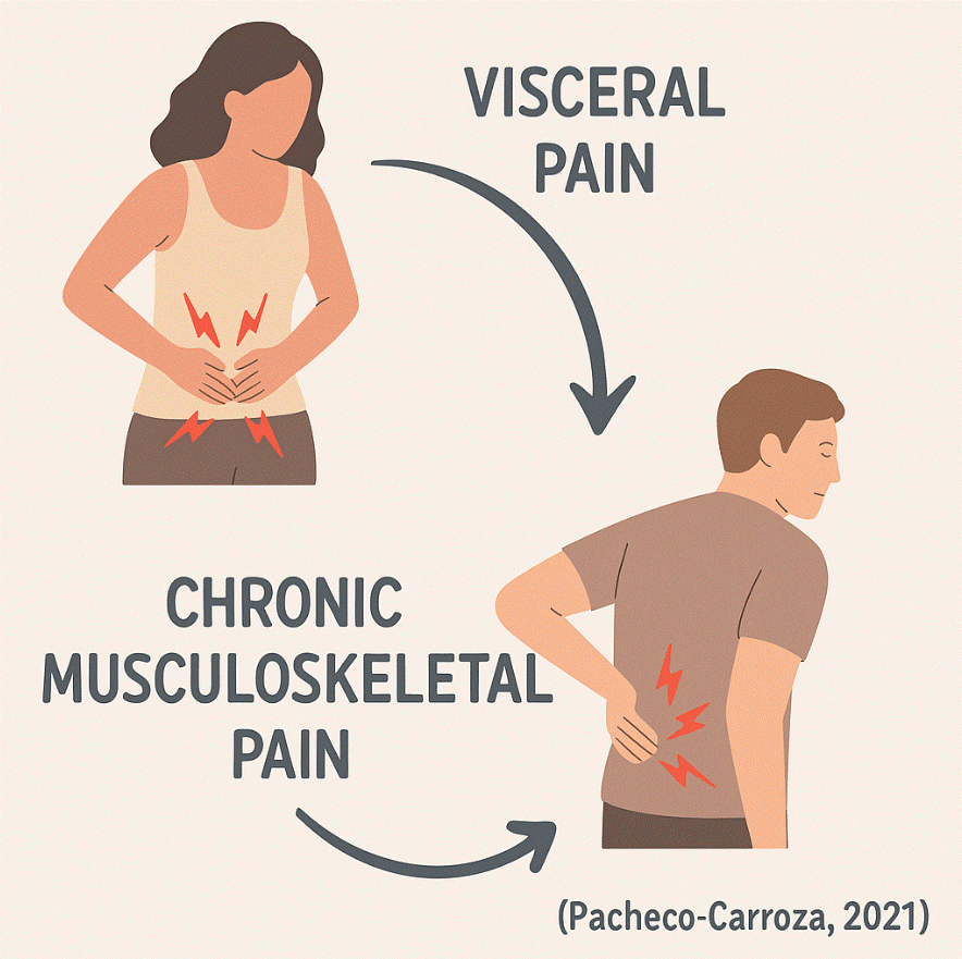 dolor visceral y dolor lumbar