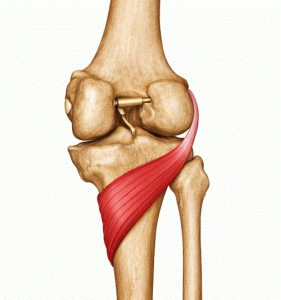 tendinopatía del poplíteo